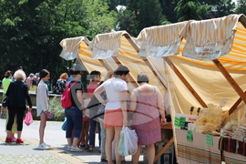 Банкя - пазар на производителя