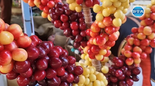 В Кюстендил беше открит официално Празникът на черешата