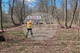 Разград - ориентиране