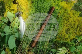 Румъния - Еньовден