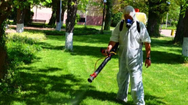 Община Ардино: Пръскат против комари в неделя в Ардино 