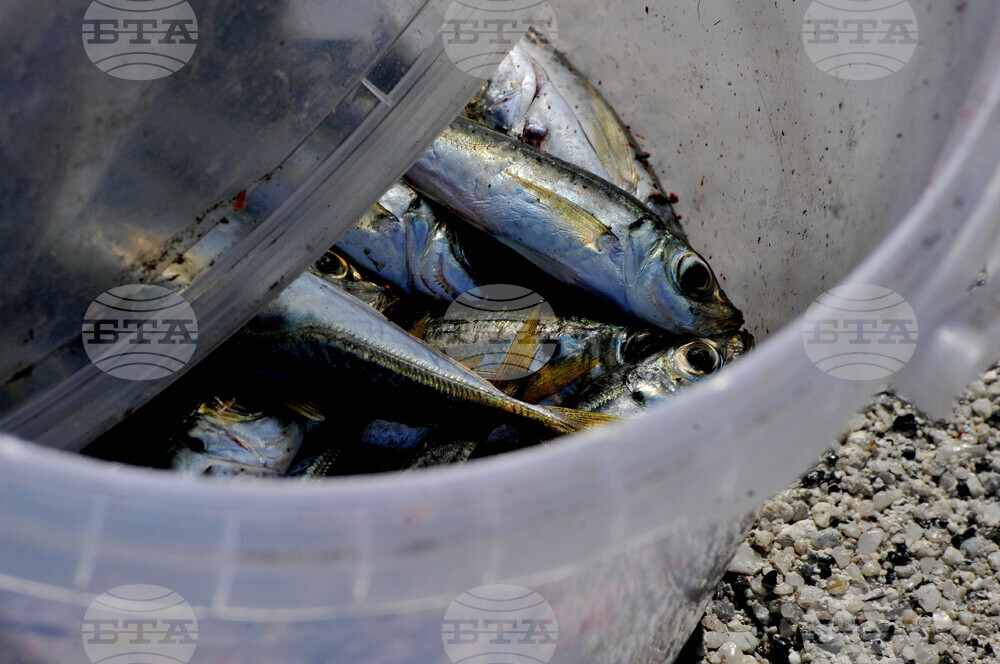 Бургас - пристанище - ежедневие