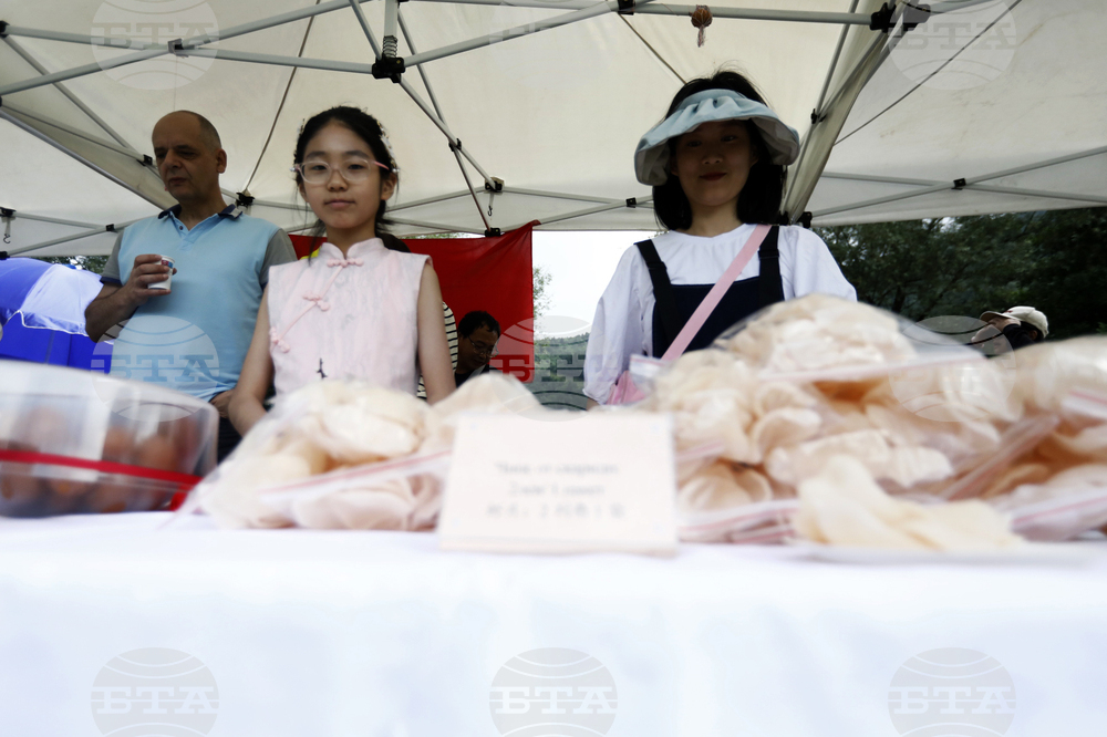 Панчарево - Фестивал "Драконови лодки в България"