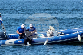 Варна - доброволци - демонстрация