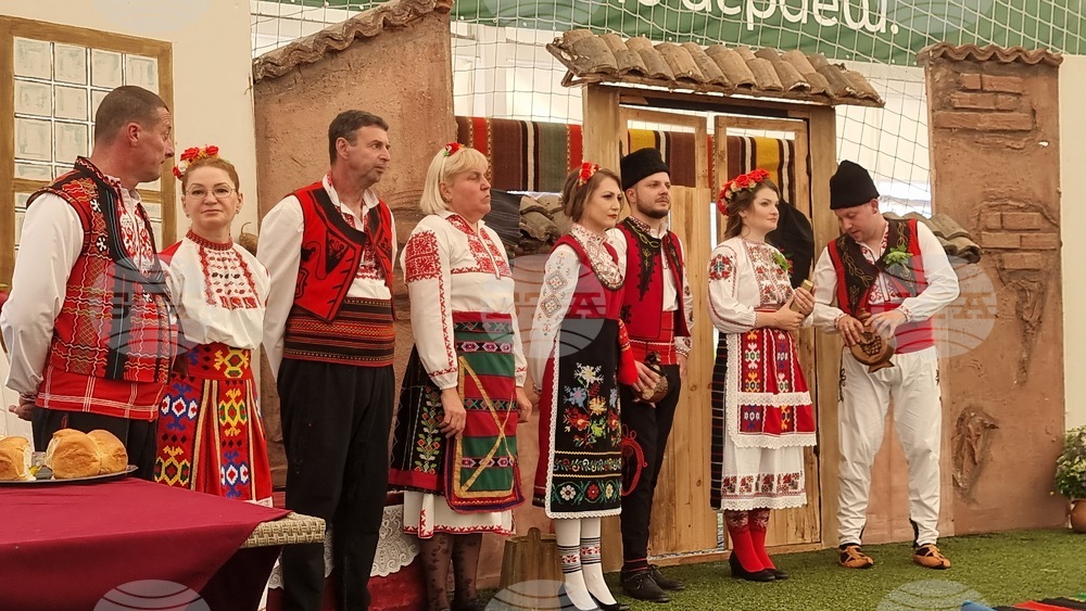 Враца - Северняшка сватба