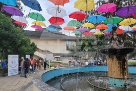 Разград - наркотици - инициатива