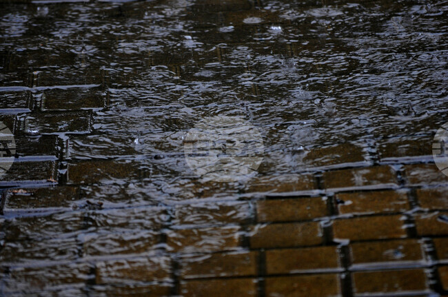 Най-обилни са били валежите от дъжд в района на село Веселие, казаха от хидрометеорологичната обсерватория в Бургас 