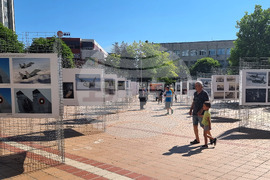 Добрич - ВВС - изложба