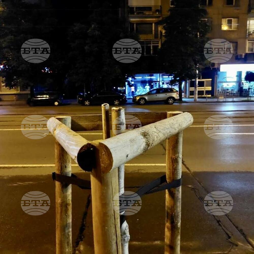 Има развитие по случая с отсечените дървета в кв. „Гео Милев“ в София, съобщи председателят на Столичния общински съвет Георги Георгиев