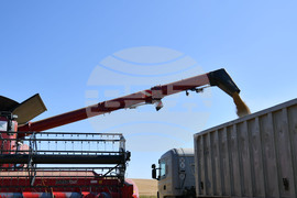 Село Богданци - жътва - начало