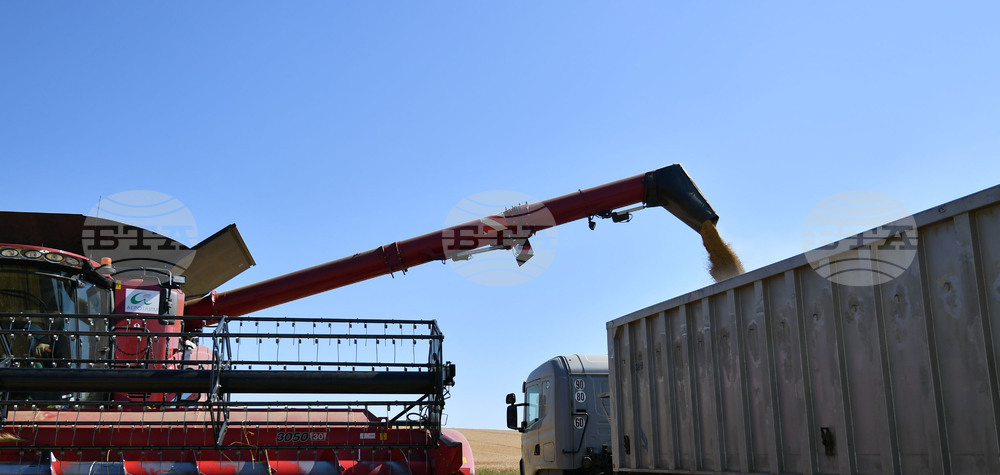 Село Богданци - жътва - начало