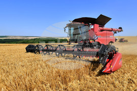 Село Богданци - жътва - начало