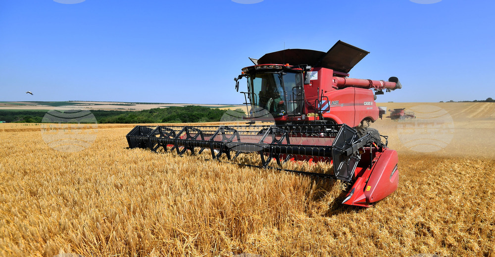 Село Богданци - жътва - начало