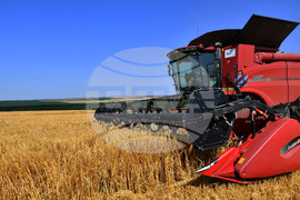 Село Богданци - жътва - начало