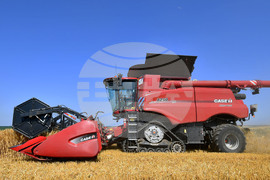 Село Богданци - жътва - начало