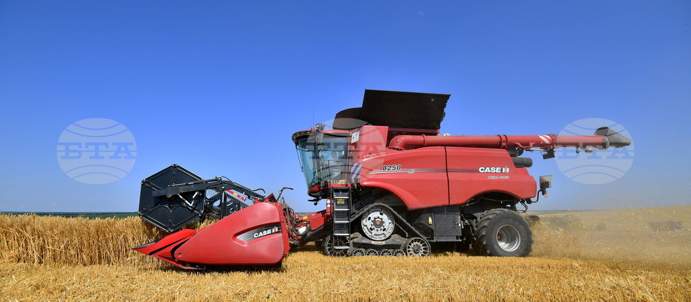 Село Богданци - жътва - начало