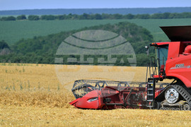 Село Богданци - жътва - начало