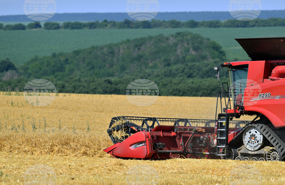 Село Богданци - жътва - начало