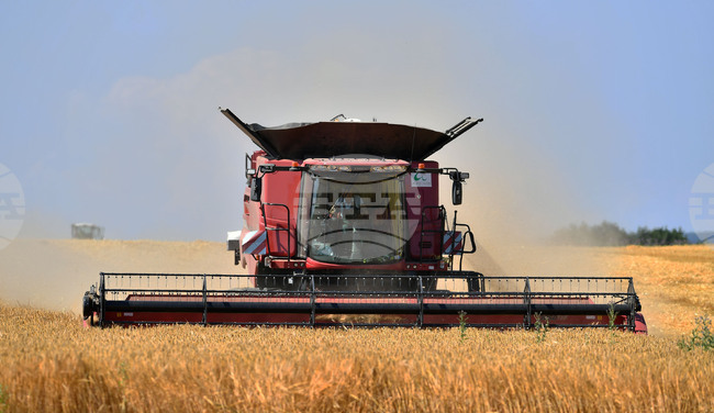 Село Богданци - жътва - начало