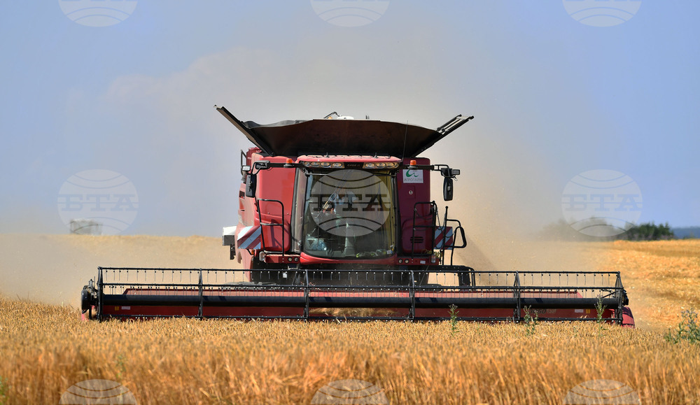 Село Богданци - жътва - начало