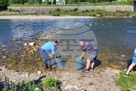 Самоков - зарибяване - река