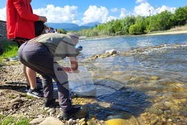 Самоков - зарибяване - река