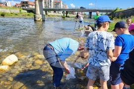 Самоков - зарибяване - река