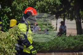 Благоевград - Общинска администрация - учение - пожар