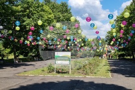 Кърджали - парк „Простор“ - видеонаблюдение - камери