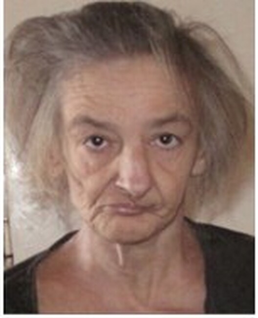 МВР: Полицията издирва 57- годишна столичанка