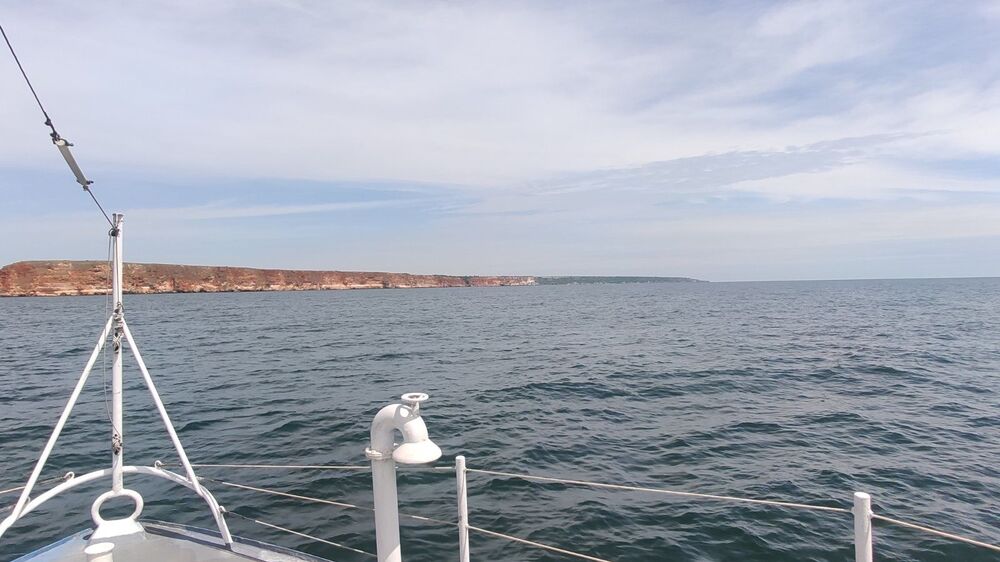 МОСВ: Няма данни за замърсяване в българската акватория на Черно море