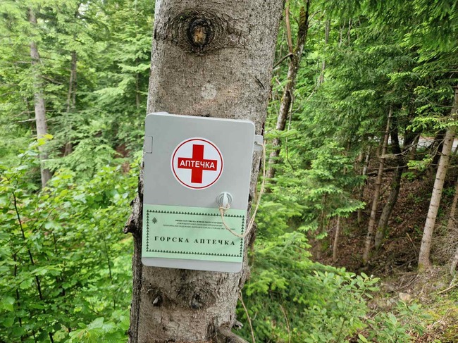 Южноцентрално държавно предприятие – гр. Смолян: Служители на ДГС Смолян и деца от клуб „Родопски скаут“ поставиха горска аптечка в района на парк „Амзово“