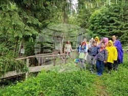 Снимка: Южноцентрално държавно предприятие – гр. Смолян