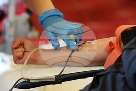 Парламент - Кръводарителска акция