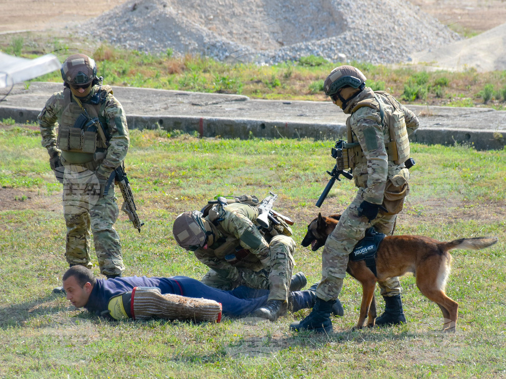 Сръбската армия продава на символична цена армейски кучета