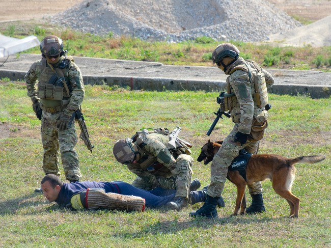 Сръбската армия продава на символична цена армейски кучета