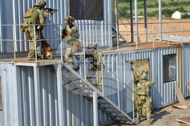 Полигон Црънча - демонстрация на способности на учението на Специалните сили на Българската армия „Stealth Dagger – 23“