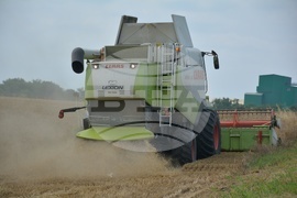 Село Борисово - Жътвена кампания
