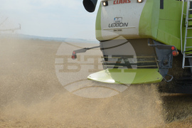 Село Борисово - Жътвена кампания