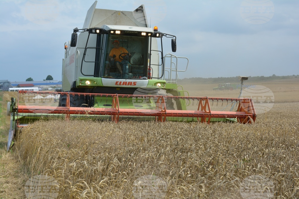 Село Борисово - Жътвена кампания