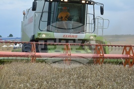 Село Борисово - Жътвена кампания