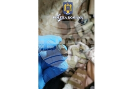 Румъния - трафик на оръжие - обиск