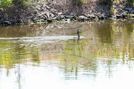 Бургас - РИОСВ - канал - първа копка