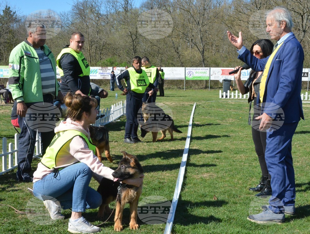 Димитровград - Джузепе Пафони - Германско овчарско куче