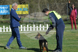 Димитровград - Джузепе Пафони - Германско овчарско куче