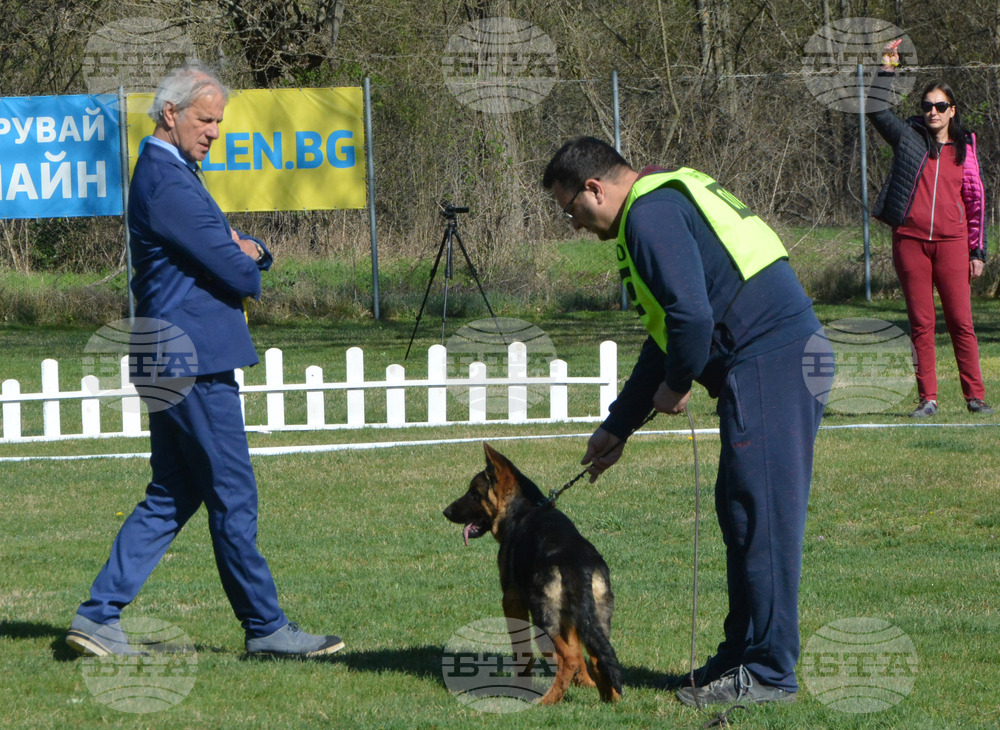Димитровград - Джузепе Пафони - Германско овчарско куче