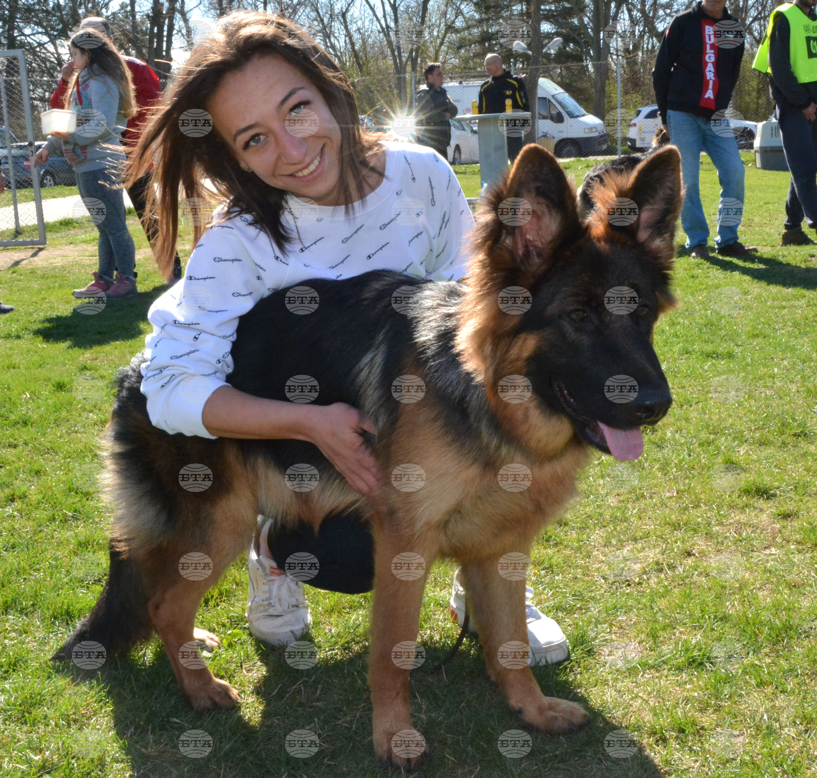 Димитровград - киноложка изложба - Германско овчарско куче