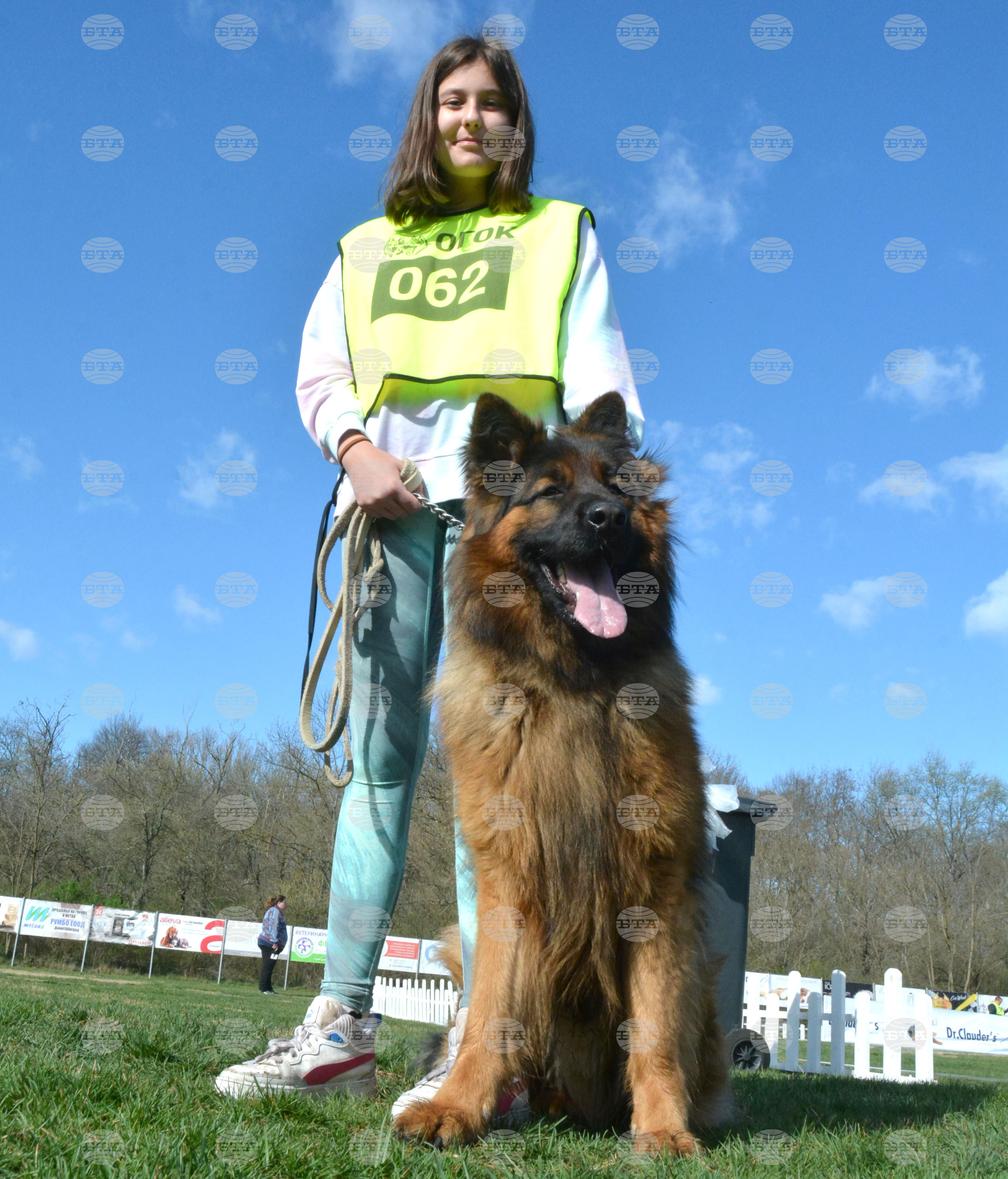 Димитровград - киноложка изложба - Германско овчарско куче