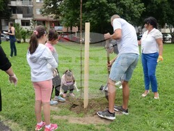 Снимка: Община Видин