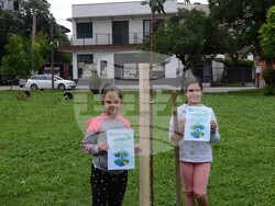 Снимка: Община Видин